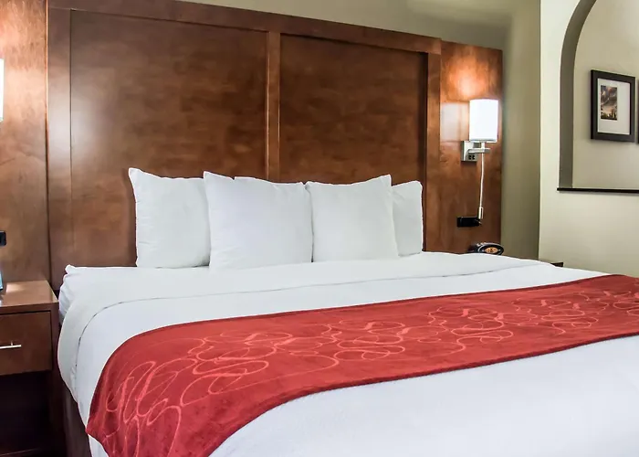 Comfort Suites University - Research Park