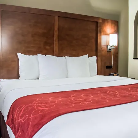 Comfort Suites University - Research Park Charlotte Exterior foto