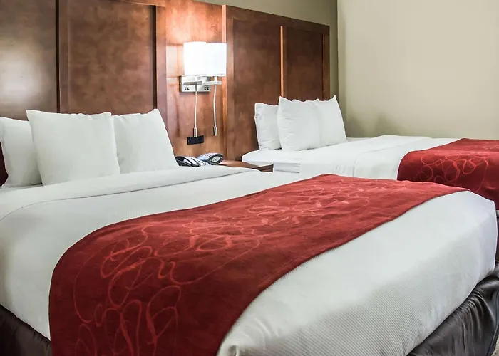 Comfort Suites University - Research Park